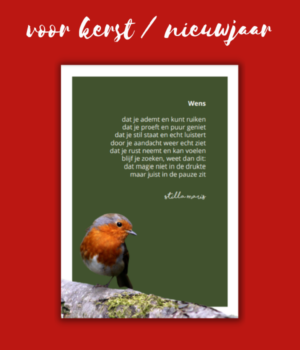 A5 kaarten set kerst/nieuwjaar ( 5 stuks Wens)